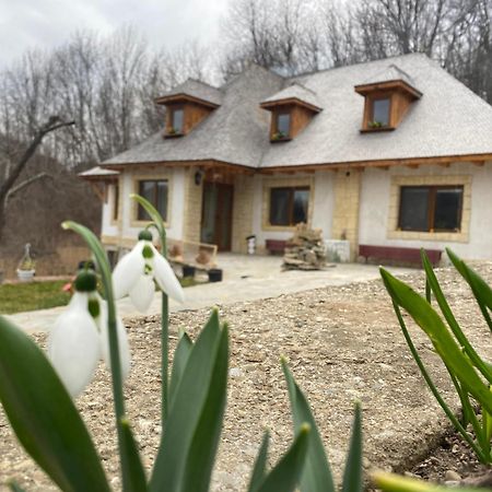 Casa Cu Sindrila Βίλα Vălenii de Munte Εξωτερικό φωτογραφία