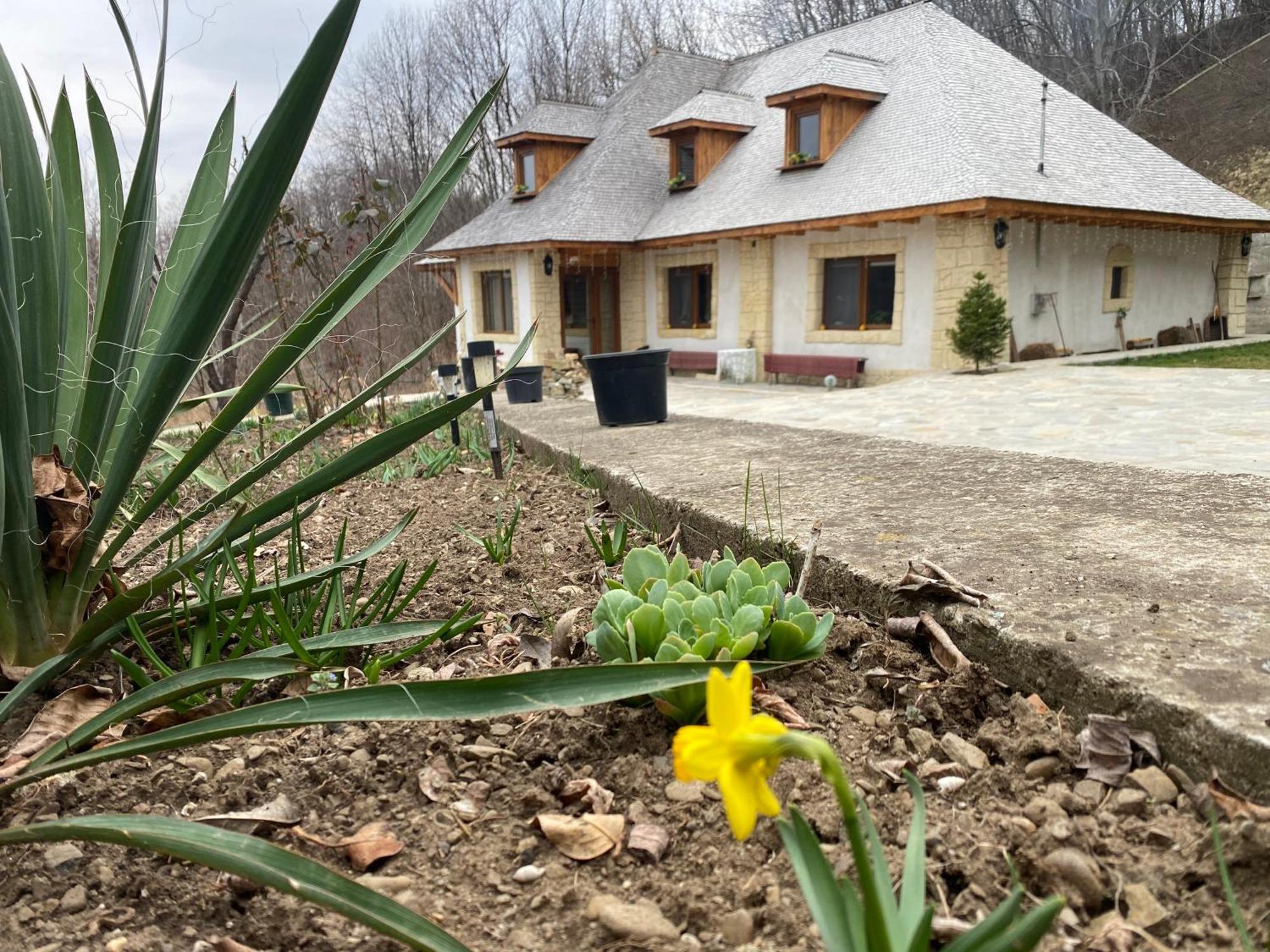 Casa Cu Sindrila Βίλα Vălenii de Munte Εξωτερικό φωτογραφία