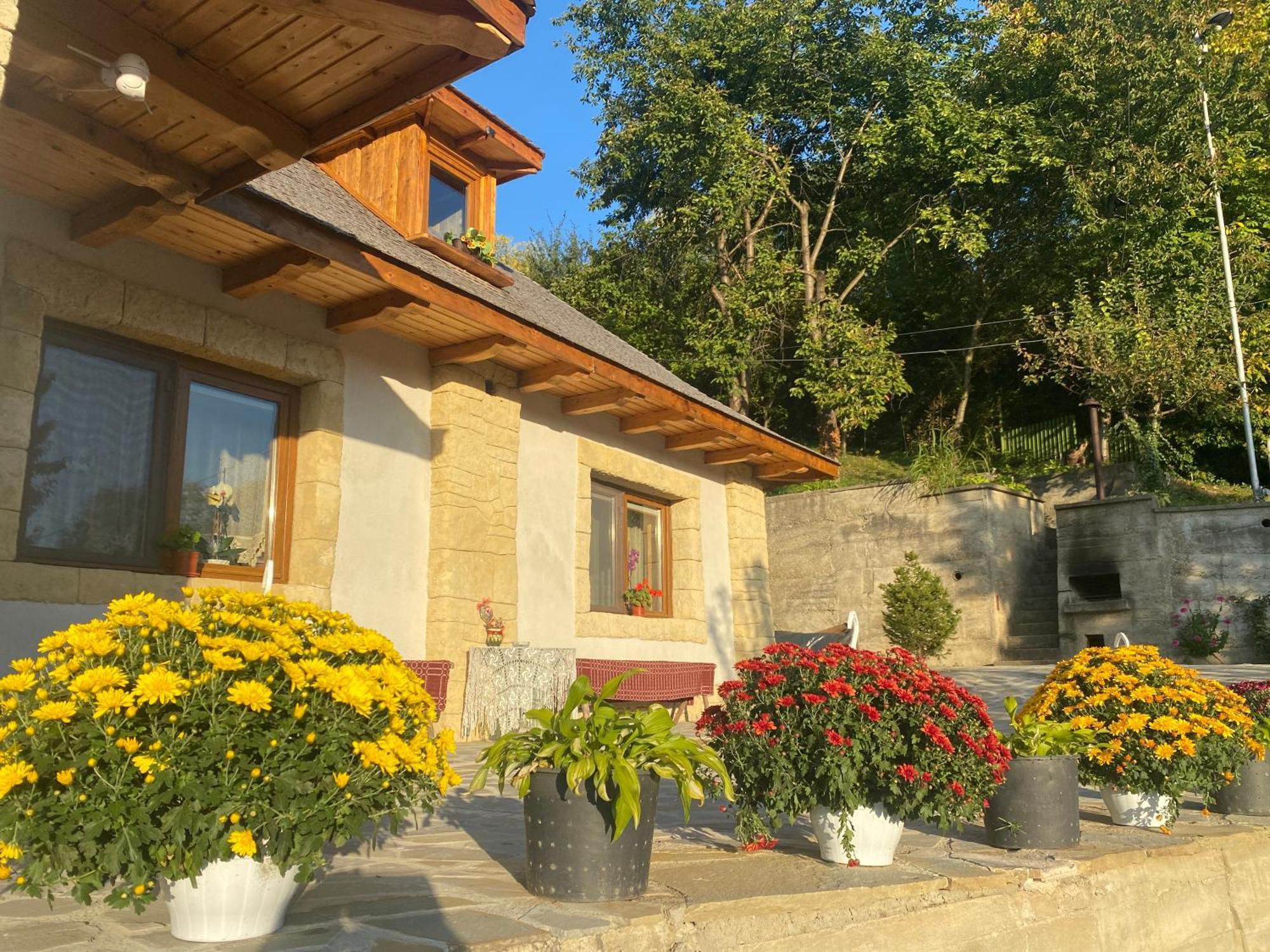 Casa Cu Sindrila Βίλα Vălenii de Munte Εξωτερικό φωτογραφία