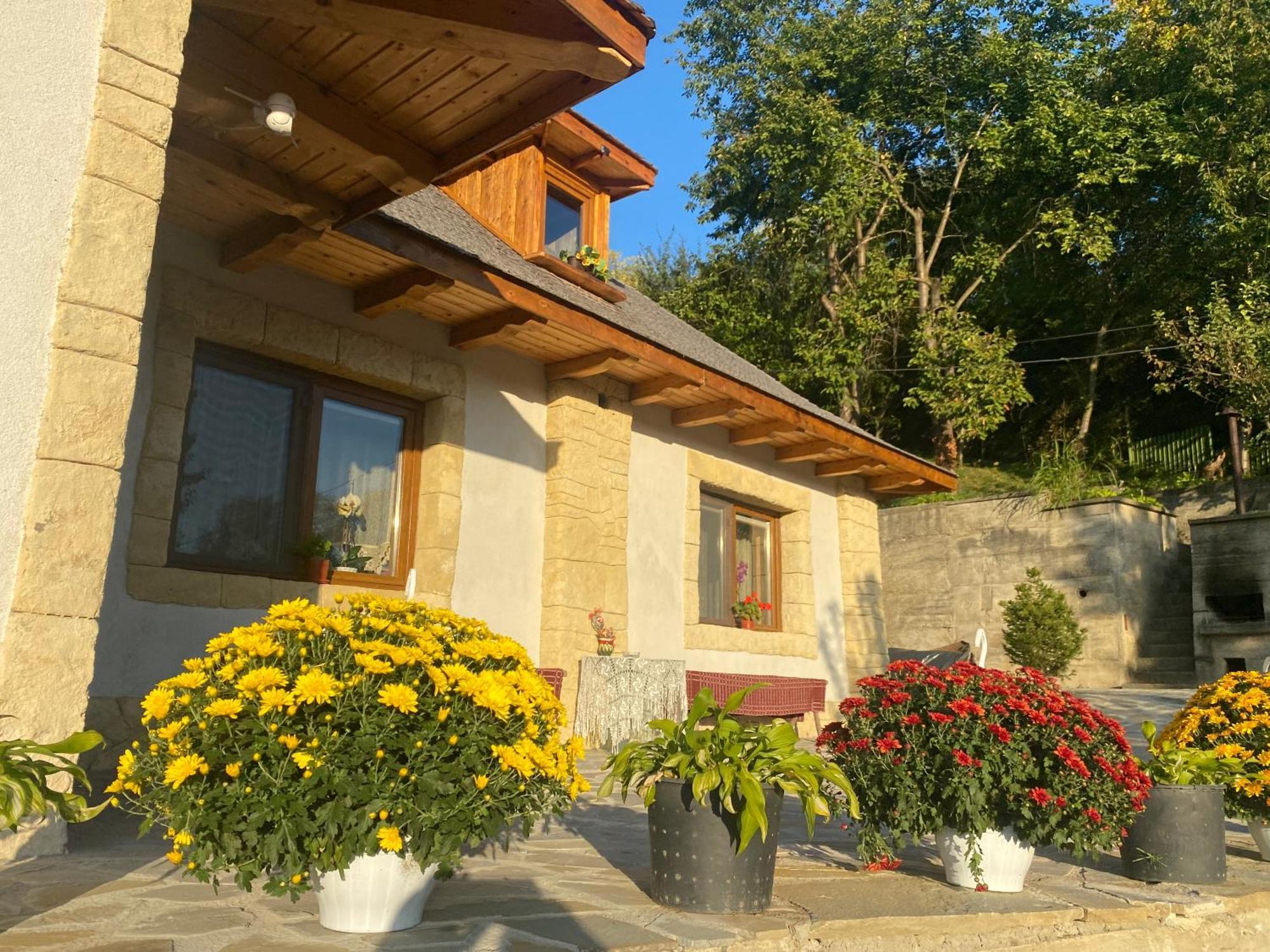 Casa Cu Sindrila Βίλα Vălenii de Munte Εξωτερικό φωτογραφία