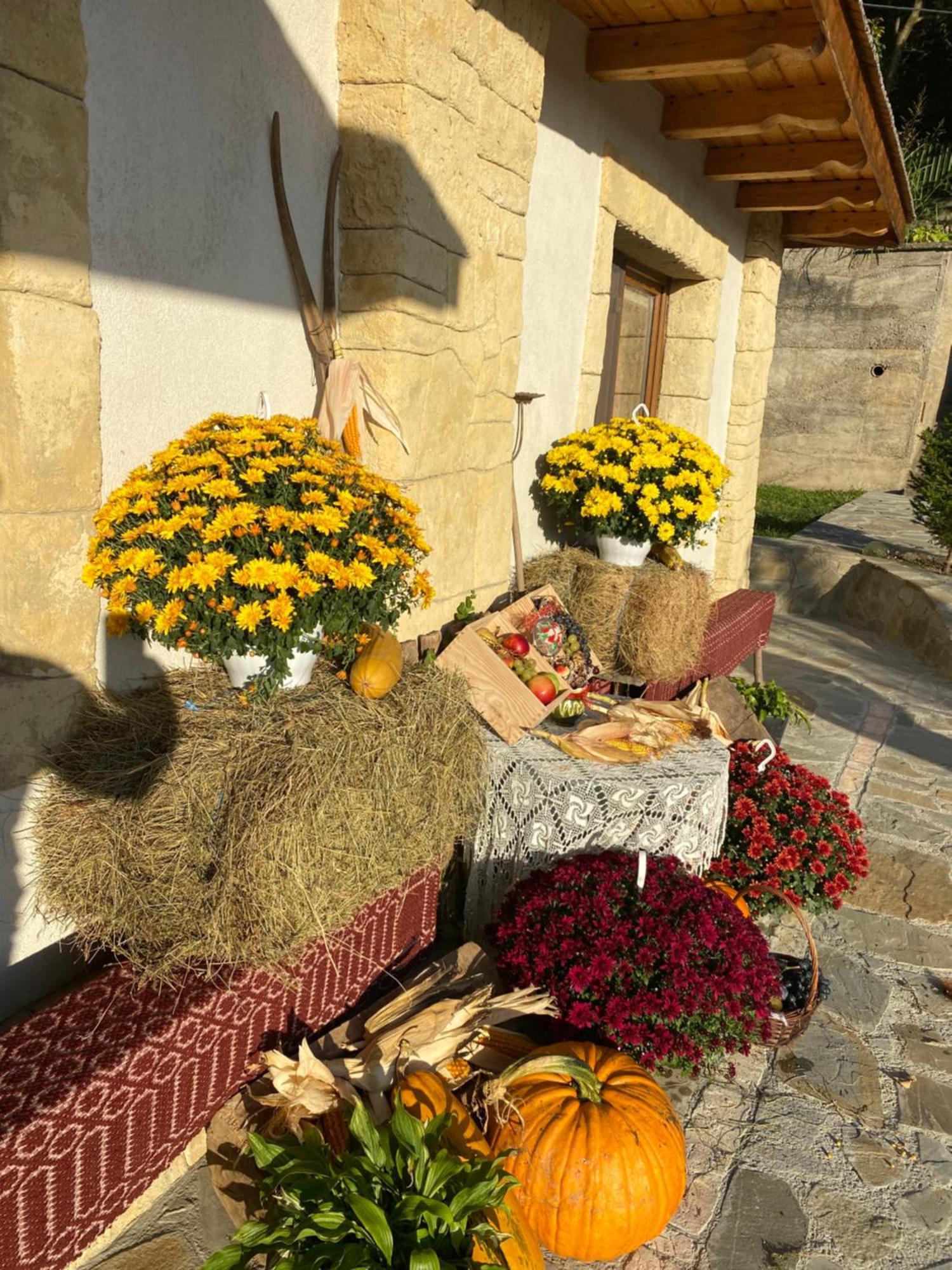 Casa Cu Sindrila Βίλα Vălenii de Munte Εξωτερικό φωτογραφία